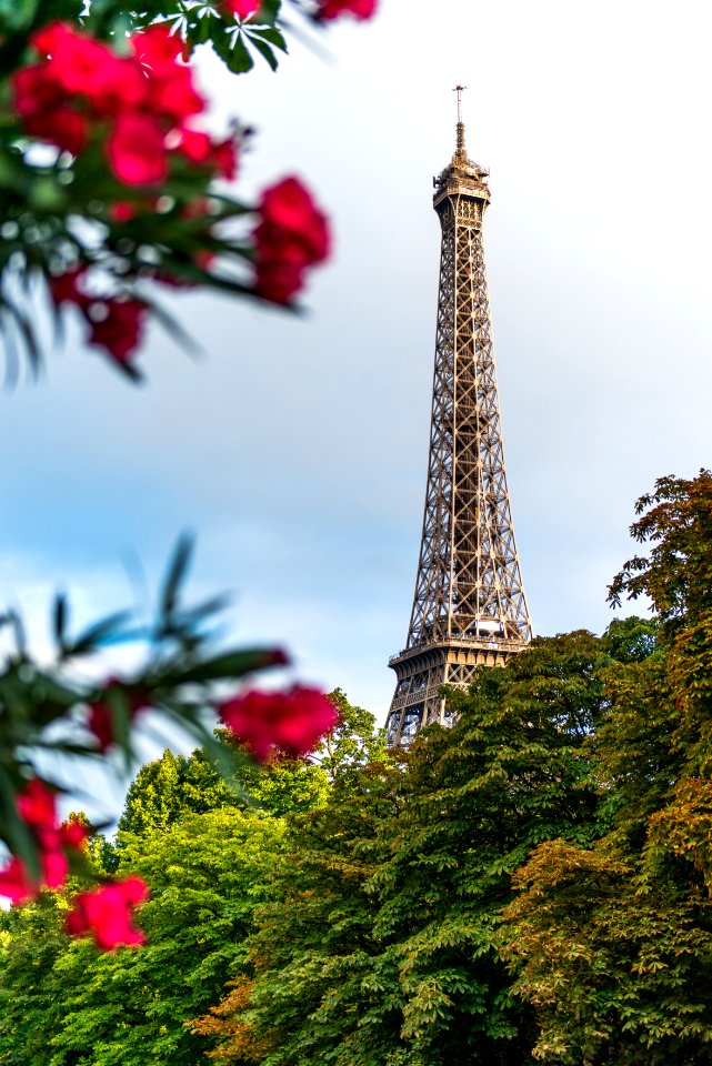 red flowers
