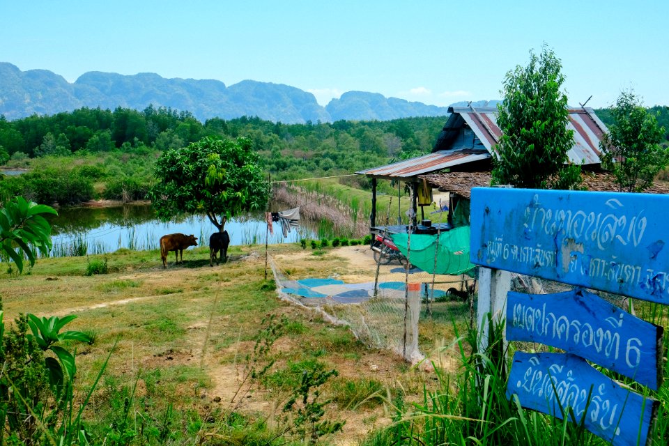 Thail, Ko lanta district, Ruiz