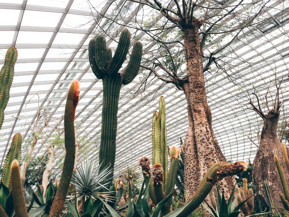 Flower dome, Singapore, Greenhouse