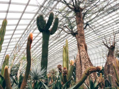 Flower dome, Singapore, Greenhouse