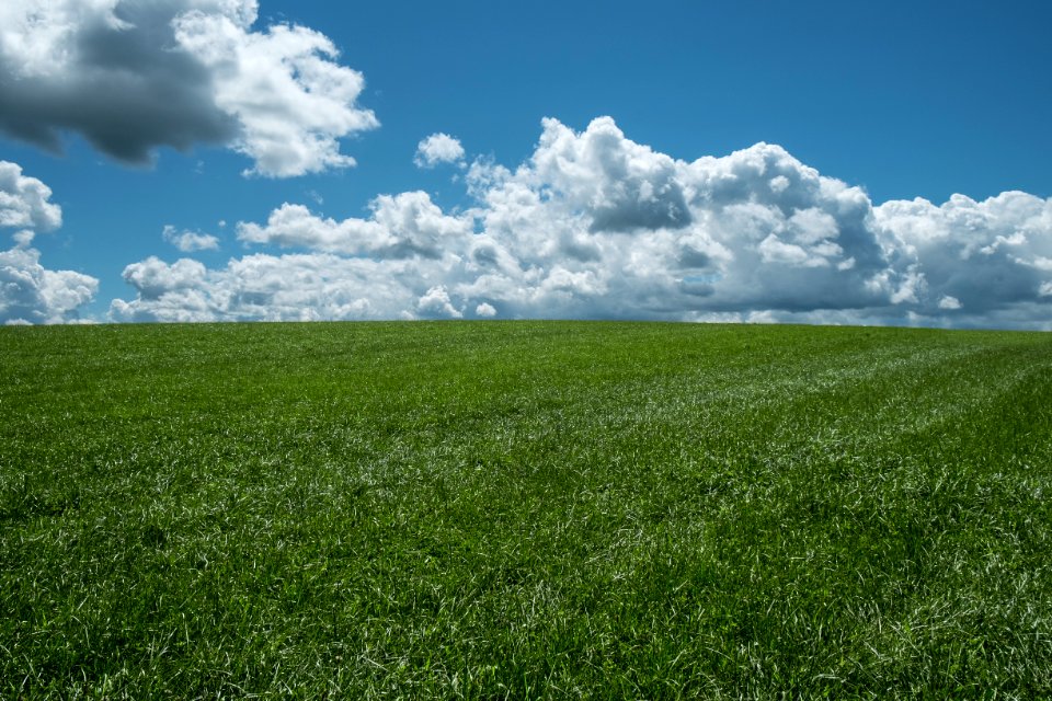 West winfield, United states, Sunny