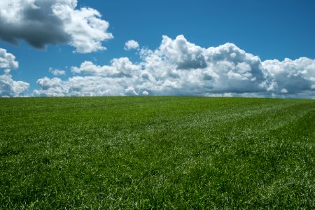 West winfield, United states, Sunny