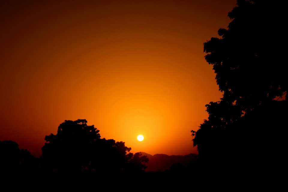 silhouette of trees and setting sun