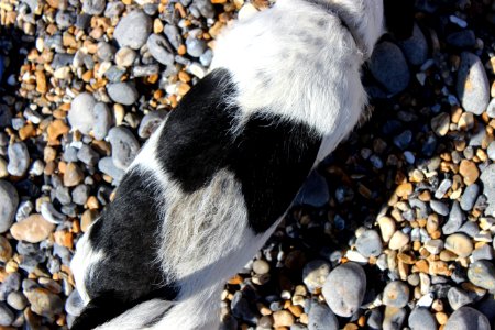 United kingdom, Stones, Pebbles
