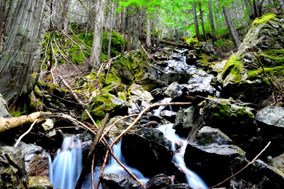 Happy creek, United states, Rocks