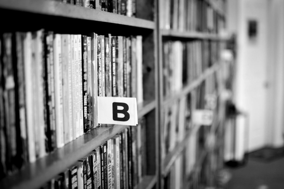 Shop, Bookstore, Library