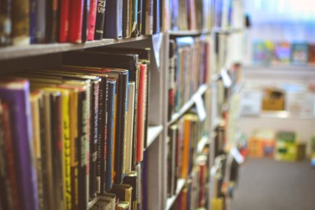 books organized in a shelf photo