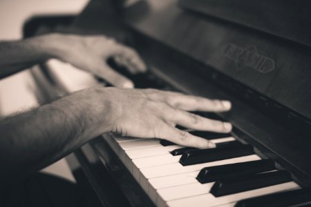 person playing piano photo