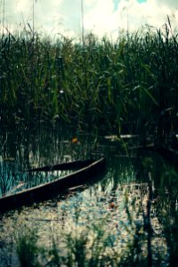 Limbai, Latvia, Boat photo