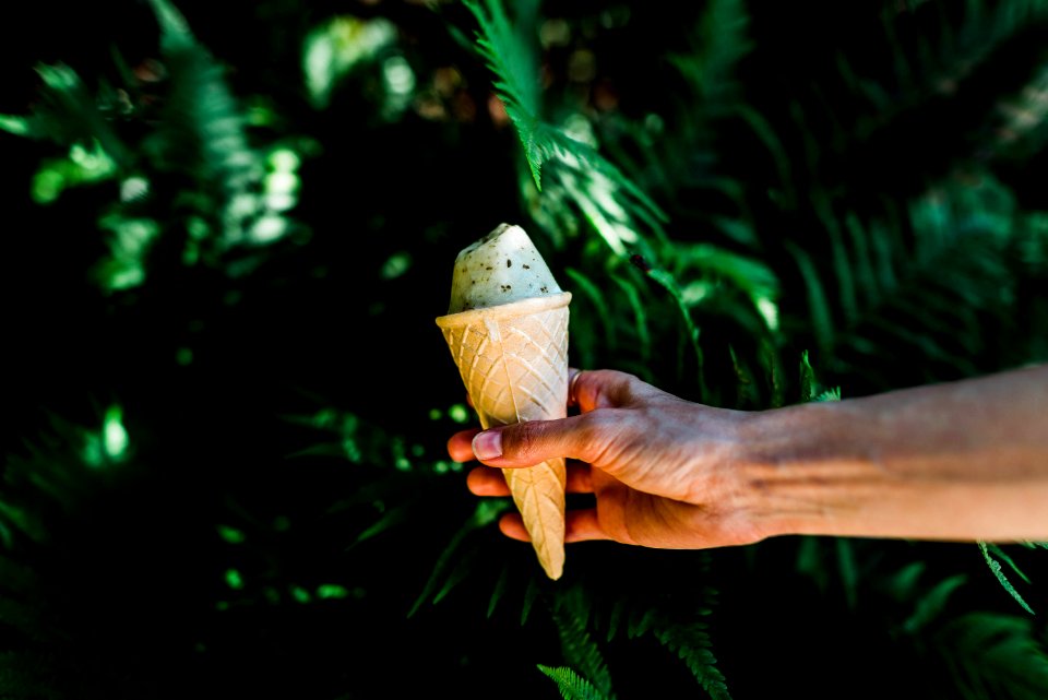 person holding ice cream