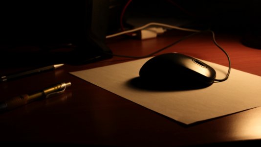 Organisation, Wood, Reflection