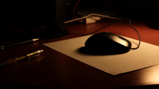 Organisation, Wood, Reflection photo