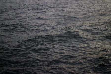 Rotterdam, Nederland, Ripple