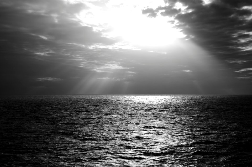 body of water during daytime