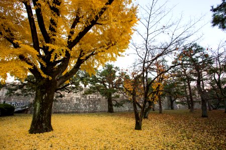 Kyoto, Japan