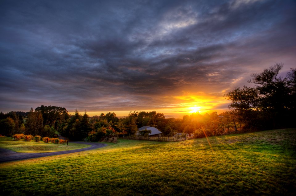 green grass field near green trees with sun rays at sunset photo