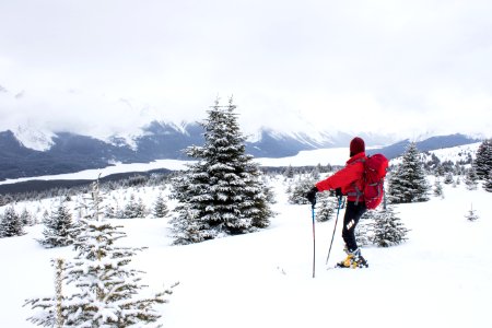 Jasper, Canada, Back country photo