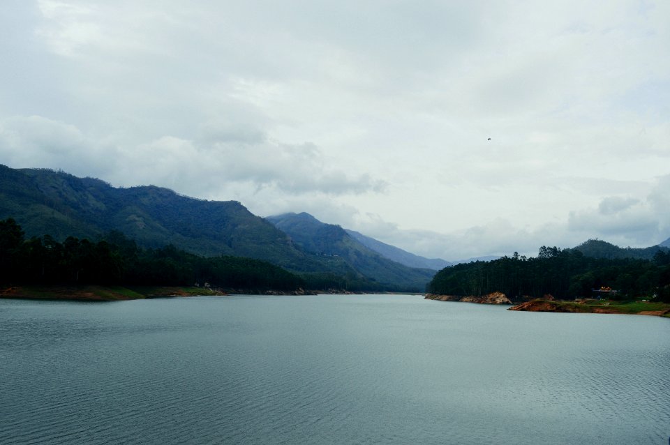 Munnar, India, Nature