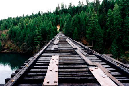 brown wooden railroad bridge near the forest during day