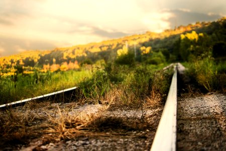 Railroad, Railway, Sun