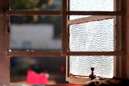 Zambia, Frame, Sunlight