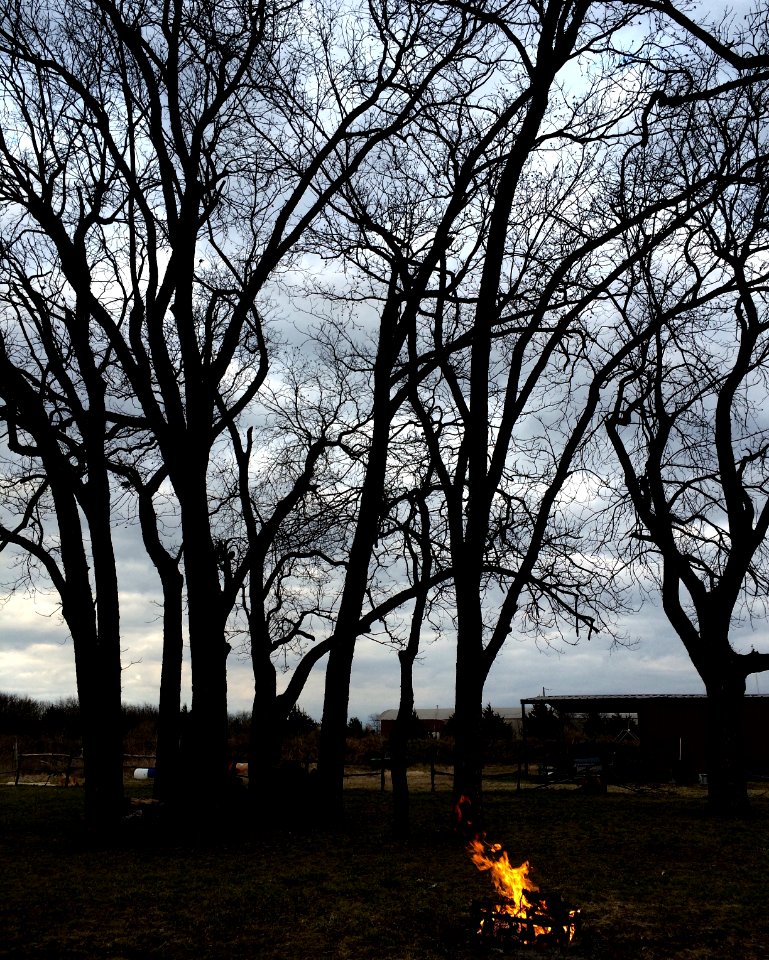 Outdoor, Campfire, Fire