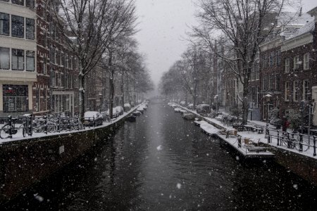 Amsterdam, Netherland, Cold