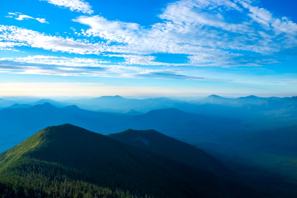 Mount carrigain, United states, Forest