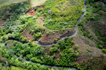 aerial photography of winding road surrounded with trees photo