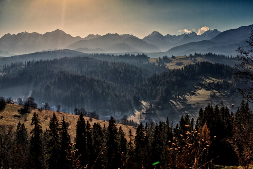 Trees, Mountains, Tatry