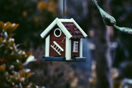closeup photo of red and white bird house photo