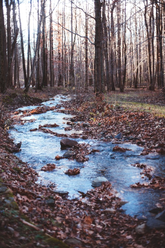 November, Autumn, Water
