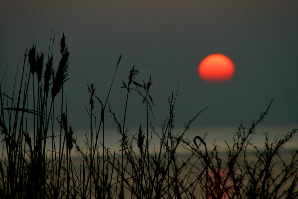 Sun, Sunset, Sea