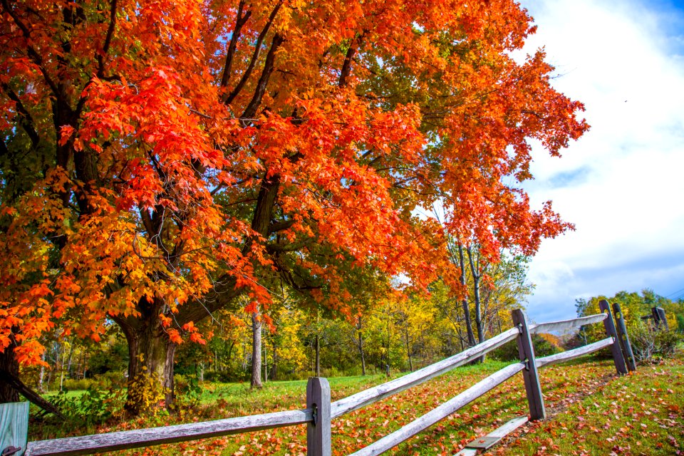 Sodus bay, United states