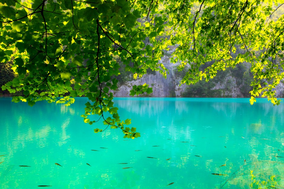 Plitvice lakes national park, Croatia