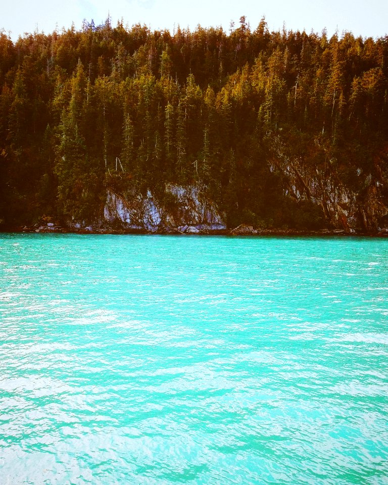 Valdez, United states, Trees
