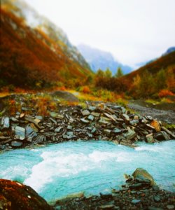 Valdez, United states, Forest