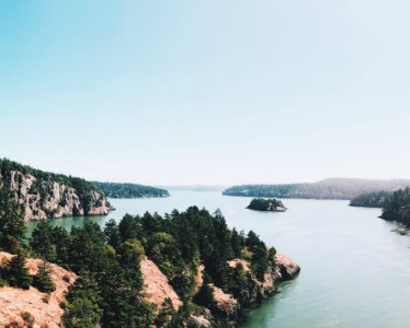 photo of green trees near body of water photo