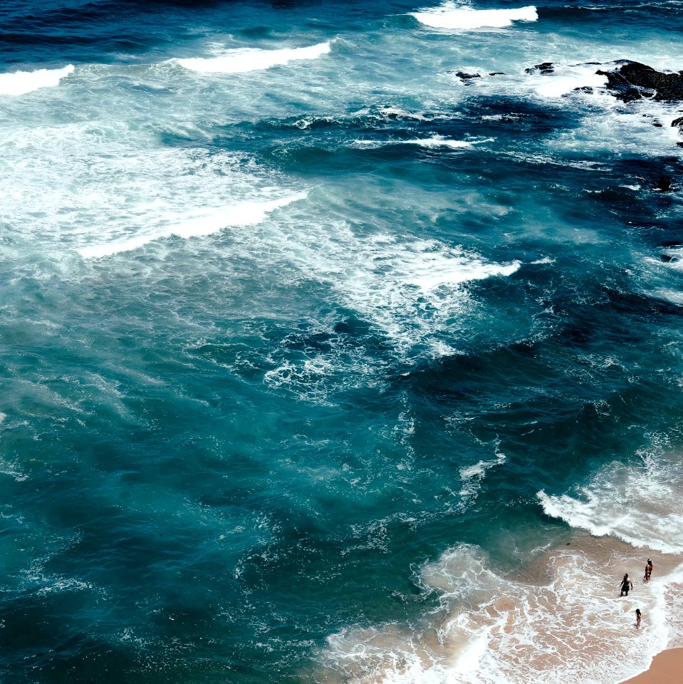 aerial photo of four people on seashore