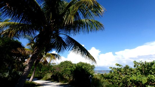 114 periwinkle way, Sanibel, Fl 33957