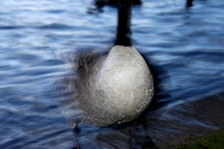 Water, Night, Lake photo