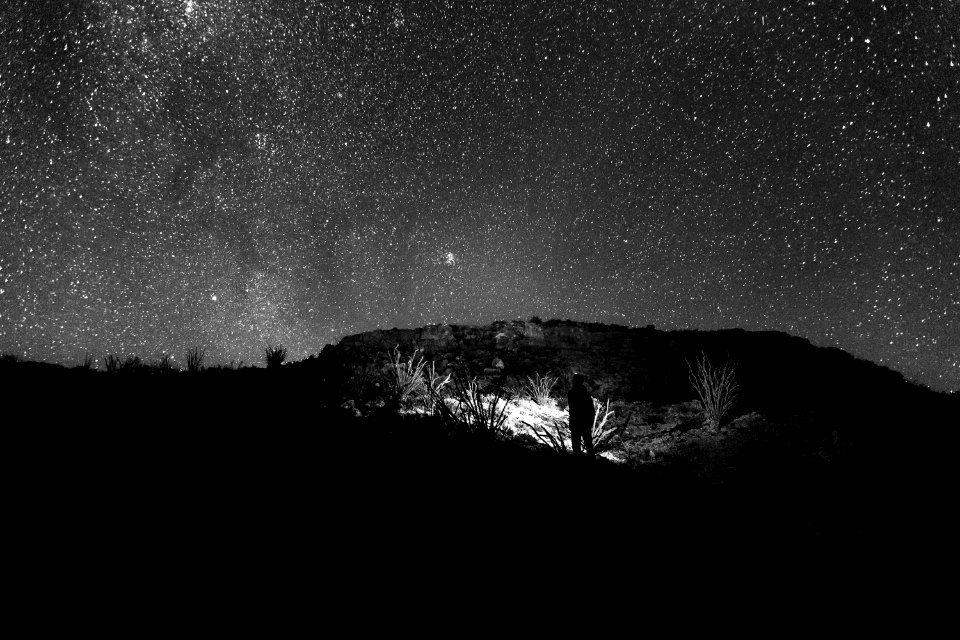 person standing holding flashlight near trees