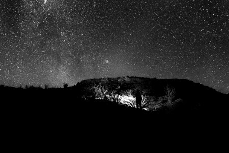 person standing holding flashlight near trees photo