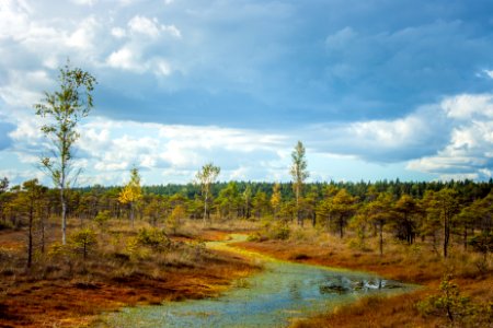 Latvija, Lielais kemeru tirelis, Swamp