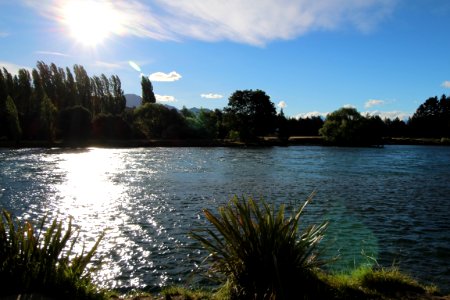 New Zealand, Trees, Lake