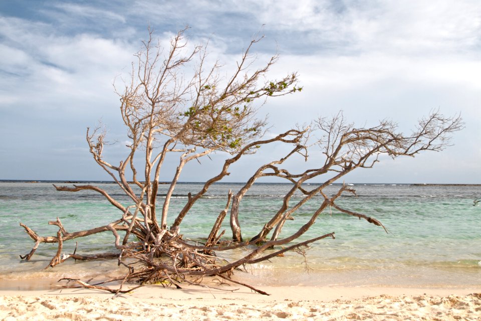 Aruba, San nicolas, Beach