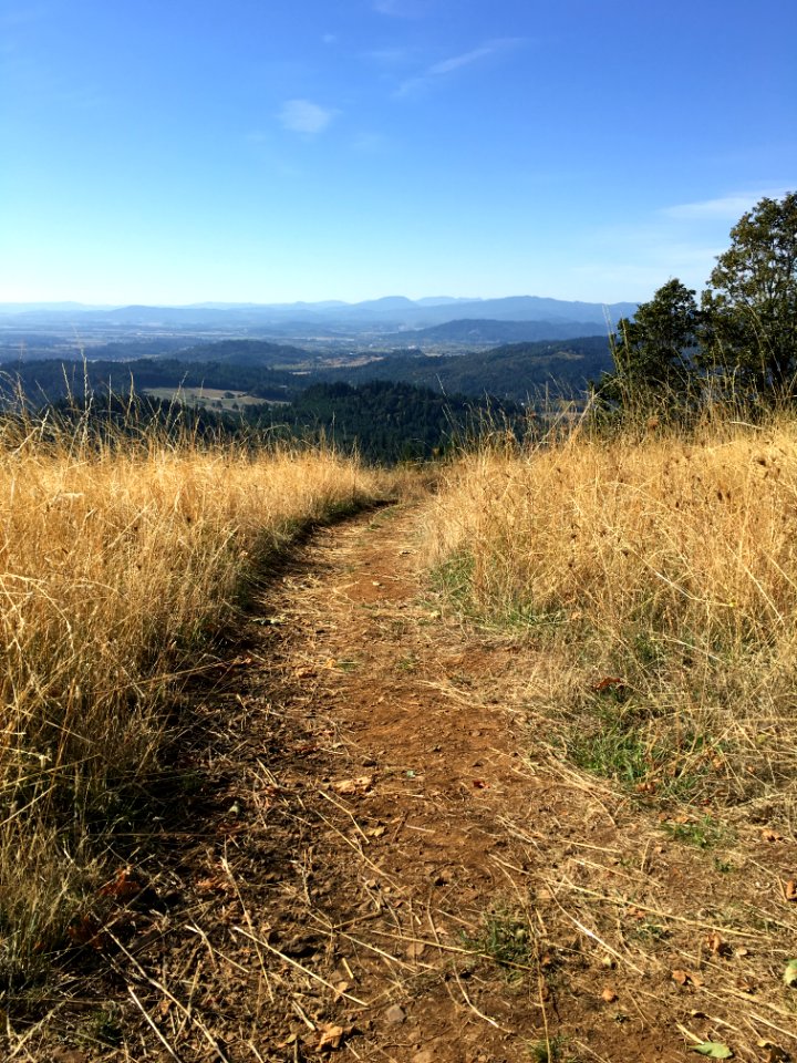 Bald hill natural area, Corvallis, United states