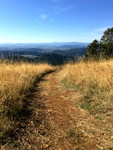Bald hill natural area, Corvallis, United states