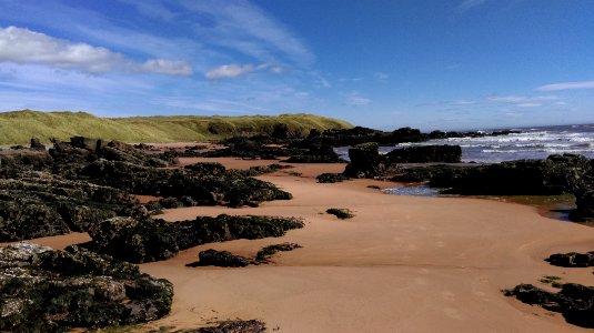 S of forvie, Ellon, United kingdom photo