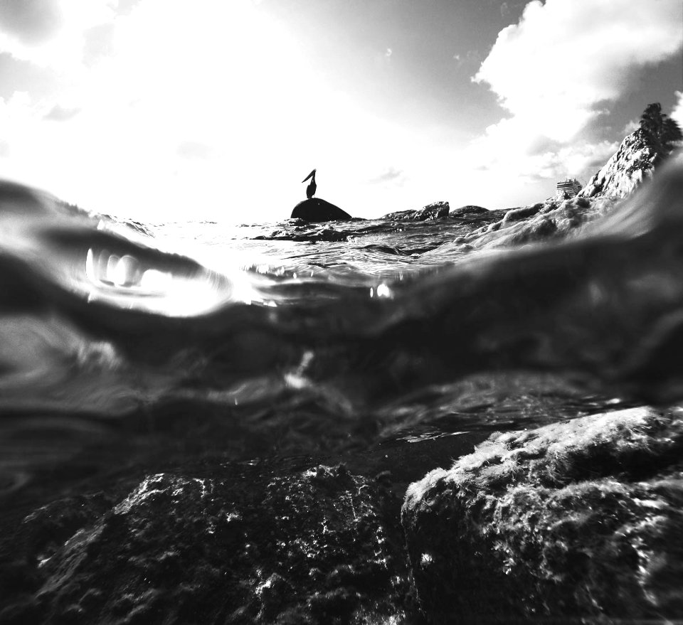 Aruba, Blackwhite, Sealevel